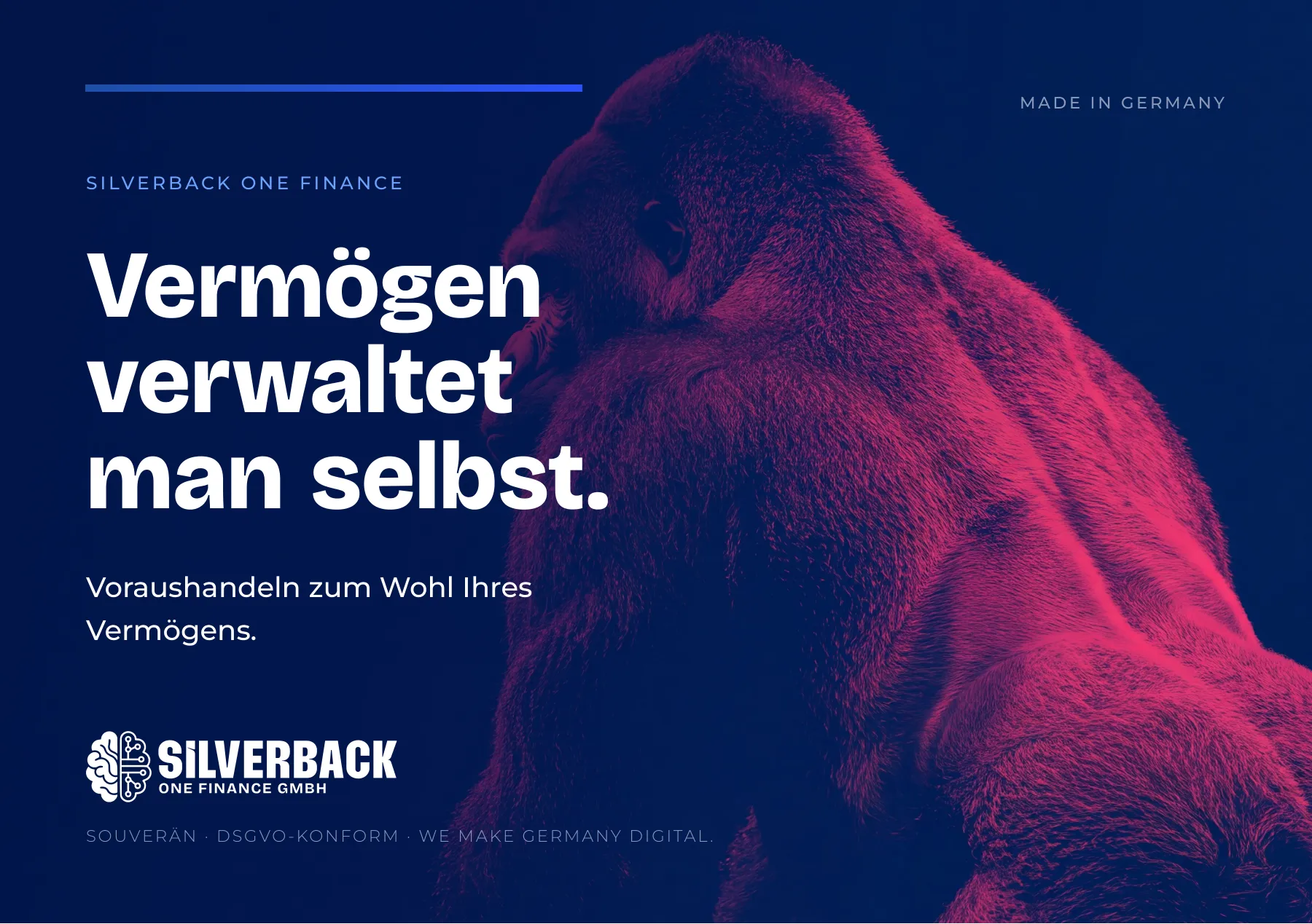 Titelseite der Broschüre Silverback ONE Finance: Vermögen verwaltet man selbst.
